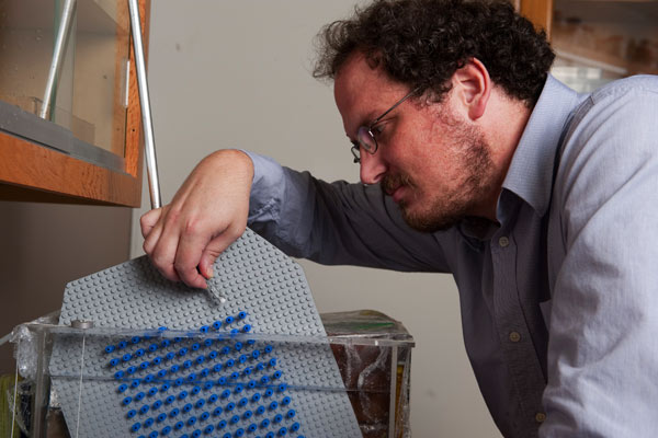 German Drazer, assistant professor of chemical and biomolecular engineering, uses a LEGO board to study the way particles behave in a microfluidic device.