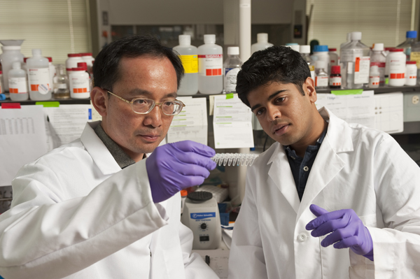 Jeff Wang and Vasudev Bailey examine samples of modified DNA during a new test designed to detect early genetic clues linked to cancer.